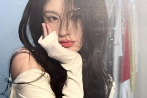 Lisa被曝出新瓜惨遭LV三公子虐弃后疯魔拉同伴下水当上位筹码